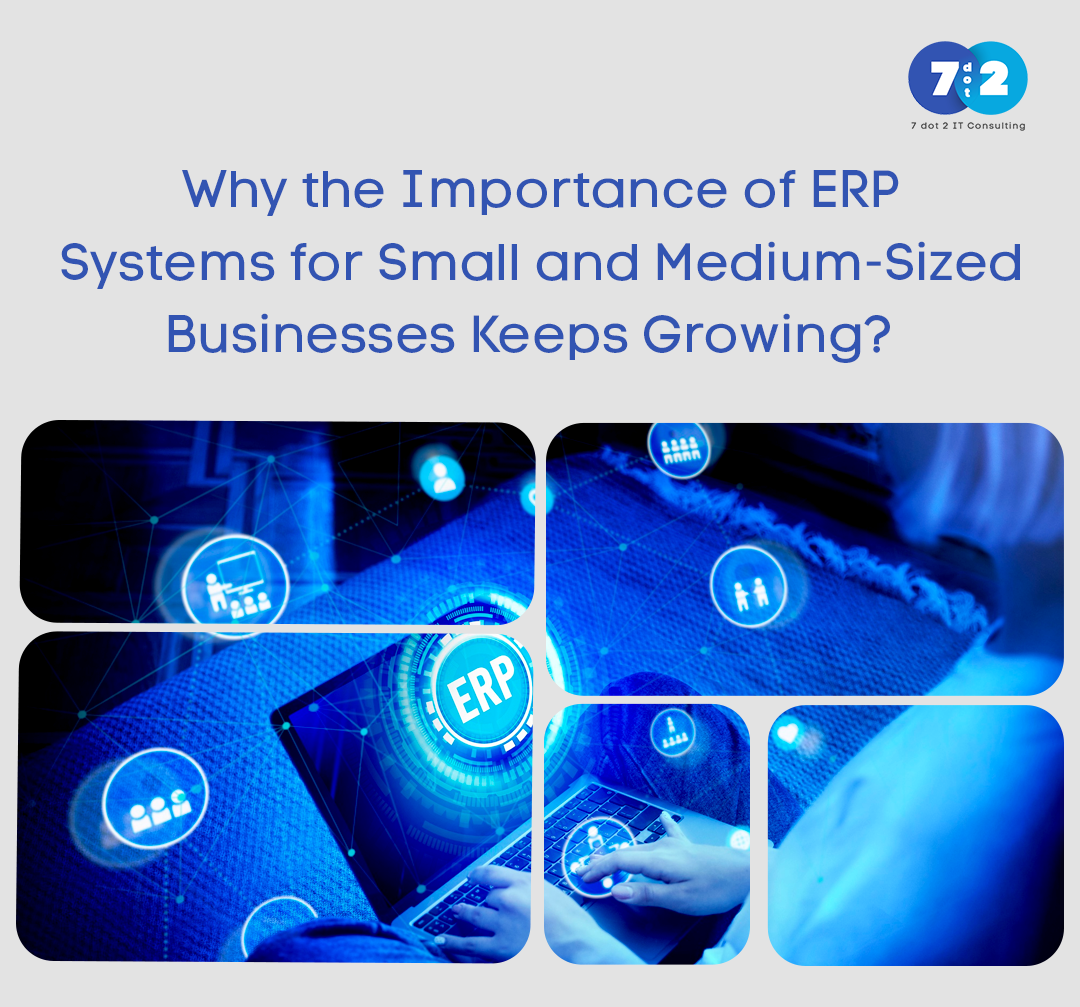 Why the Importance of ERP Systems for Small and Medium-Sized Businesses ...